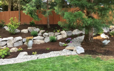 Drainage Problems After Winter Rain? What Homeowners Should Watch For