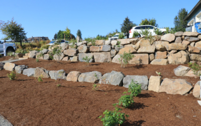 A Difficult Yard: The Case for Retaining Walls